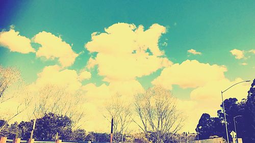 Low angle view of tree against sky