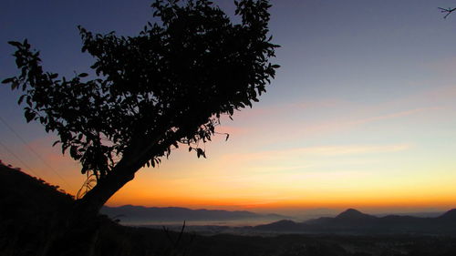 Silhouette of trees at sunset