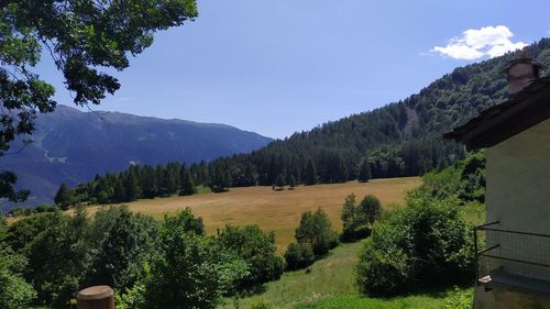 Scenic view of trees and mountains against sky