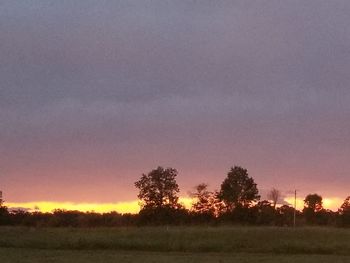 Trees on field against sky during sunset