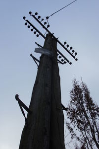 Low angle view of tree