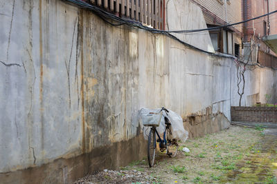 View of horse in old building