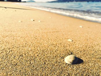 Close-up of sand on beach