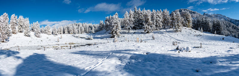 Snow covered land and trees against sky