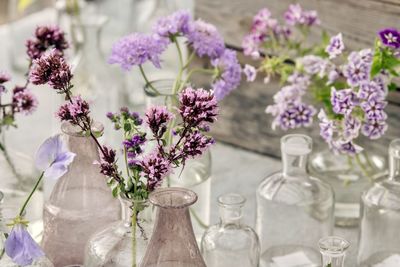 Close-up of purple flower in glass vase on table