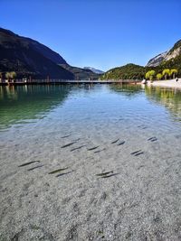 Scenic view of lake against clear blue sky