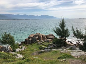 Scenic view of sea against sky