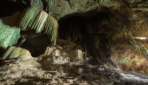Low angle view of mushrooms in cave