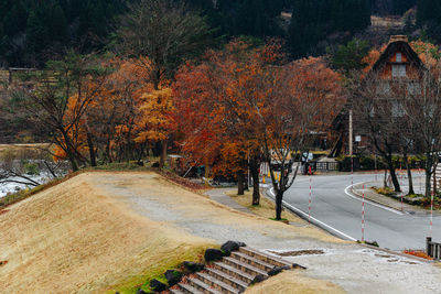 Trees by road in city during autumn