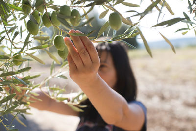 Woman picking fruits from tree