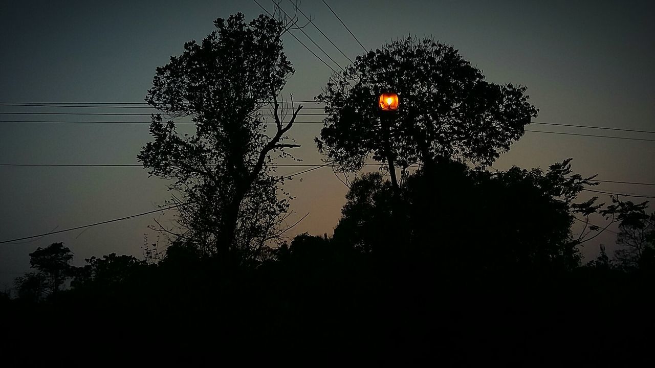 Country road side