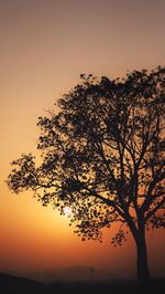 Silhouette tree against clear sky at sunset