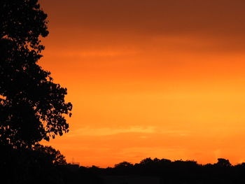 Silhouette trees against romantic sky at sunset