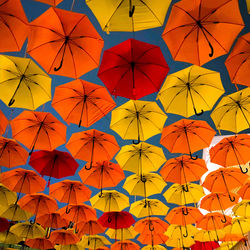 Low angle view of multi colored leaves