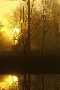 Silhouette bare trees by lake in forest during sunset