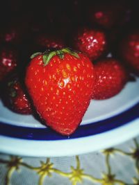 Close-up of strawberries in plate