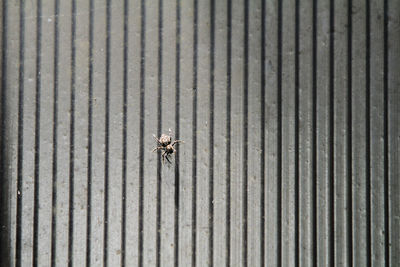 Full frame shot of closed door