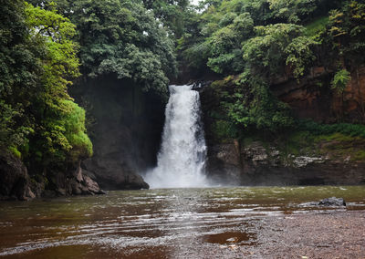 Scenic view of waterfall in forest