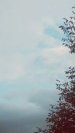 Low angle view of tree against sky