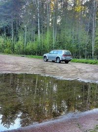 Road passing through forest