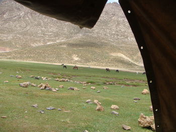 View of people on grassland