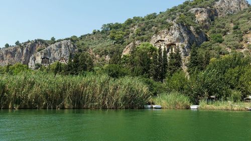 Scenic view of trees and rocks