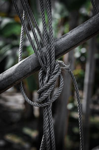 Close-up of rope tied on wooden post