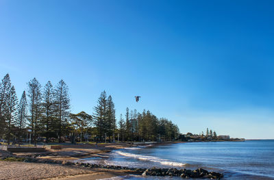 Scenic view of lake against clear blue sky