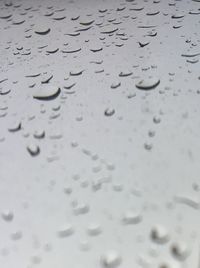 Full frame shot of raindrops on rainy season