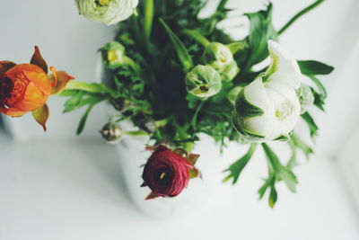 Close-up of ranunculus flowers