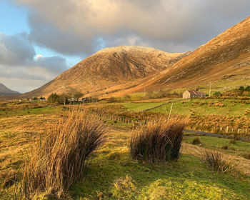 The wild scrub in the foreground with slightly snow dusted mountains of connemara. mountain scrub. 