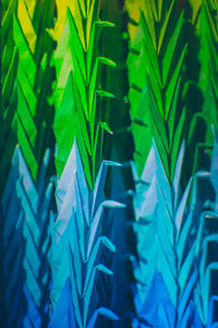 Close-up of green leaves