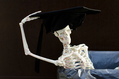 Skeleton wearing mortarboard