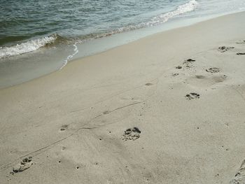 High angle view of footprints on sand at beach