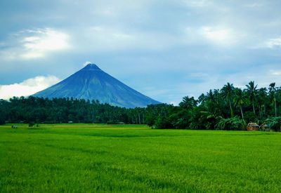 Scenic view of field and mountains against sky