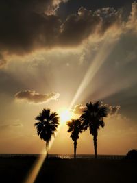 Silhouette palm trees against sky during sunset