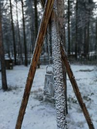 Close-up of swing hanging on tree trunk during winter