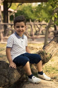 Portrait of handsome little model boy sitting on tree...