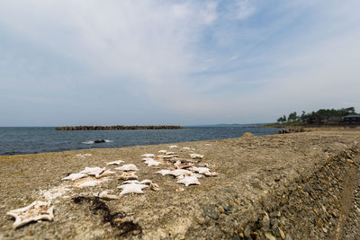 Scenic view of beach against sky