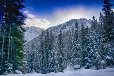 Scenic view of mountains against sky during winter