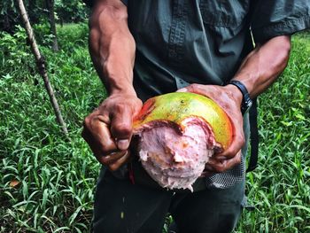 Midsection of man holding coconut on field
