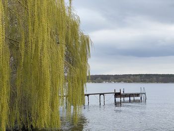 Wooden posts in lake against sky