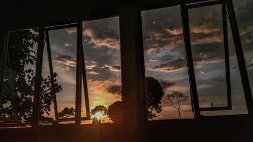 Silhouette trees against sky seen through window during sunset