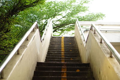 Low angle view of stairs along trees