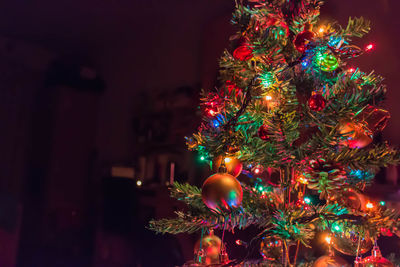 Close-up of illuminated christmas tree at home