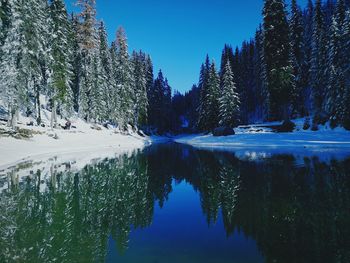 Reflection of trees in lake against sky during winter