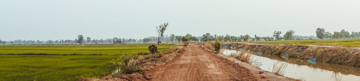 Panoramic view of agricultural field against clear sky