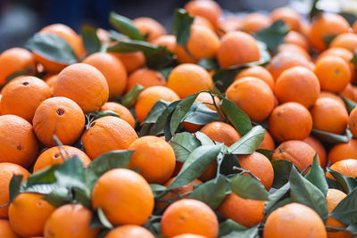 Full frame shot of oranges