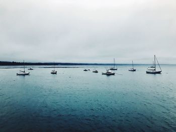 Sailboats in sea against sky