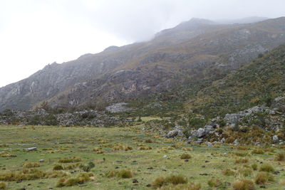 Scenic view of landscape and mountains against sky